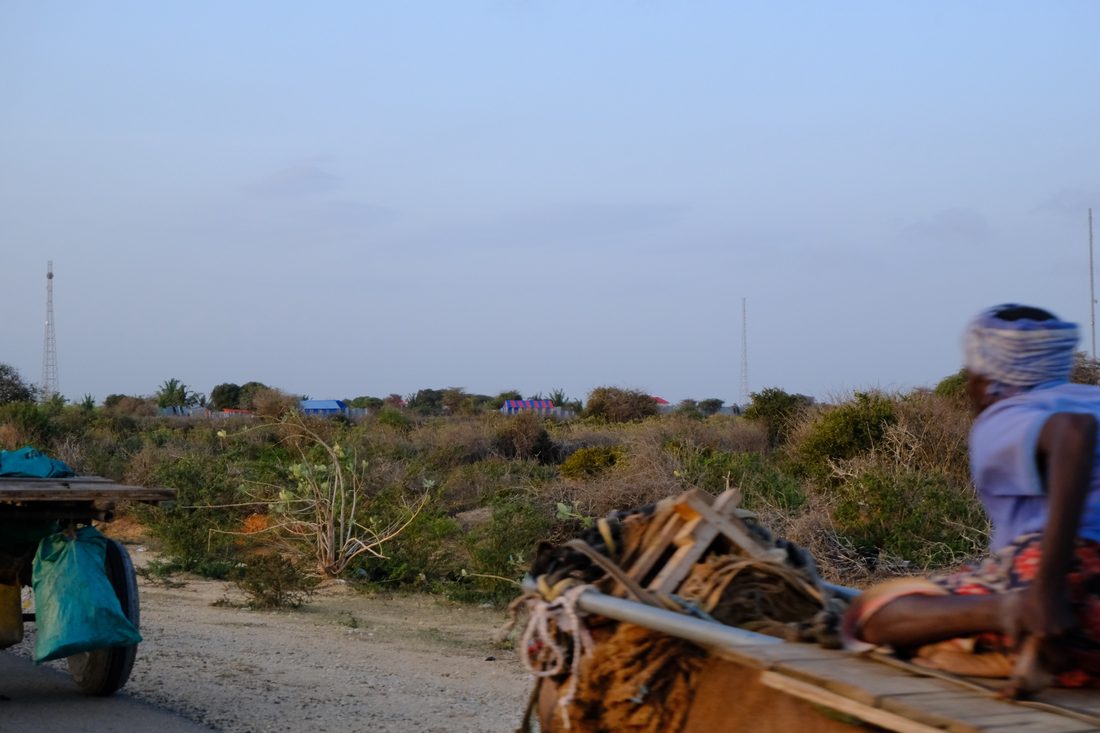 A man rides a donkey cart along a road, with two tall telecommunications masts standing on the horizon behind the scrub