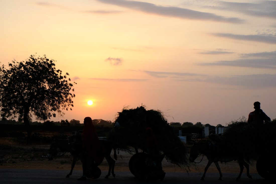 Silhouettes of people and donkey carts stacked with cut fodder moving along a road against an orange sunset