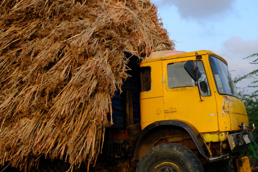 A yellow lorry piled high above the cab with dry golden fodder